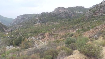 Kaybolan 3 yaşındaki çocuğu arama çalışmaları devam ediyor