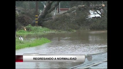 VIDEO: La calma está regresando a la normalida después de la tormenta