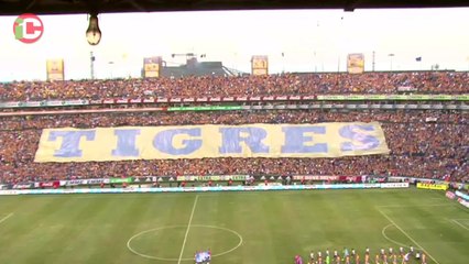 Tigres y sólo Tigres