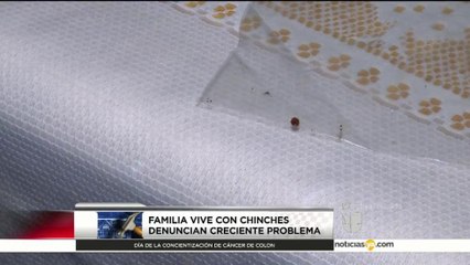 ¿Qué hacer si su arrendador no resuelve sus problemas?