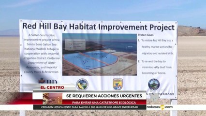 Presentan proyecto para enfrentar problema del Salton Sea