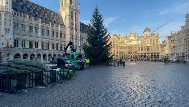 Le sapin de Noël installé sur la Grand Place de Bruxelles