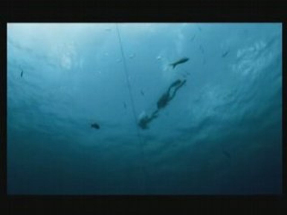 L'homme qui charmait les requins Partie 3/5