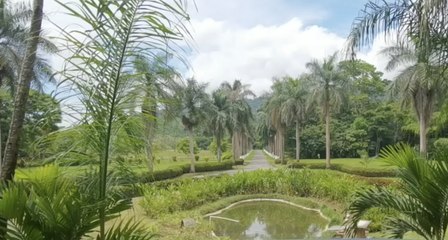 RTCR VIERNES 06 AGOSTO 2021