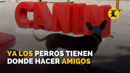 Ya los perros tienen donde hacer amigos