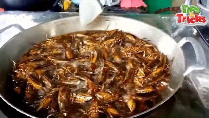 Insect!! Extreme Street food in Bangkok, Thailand