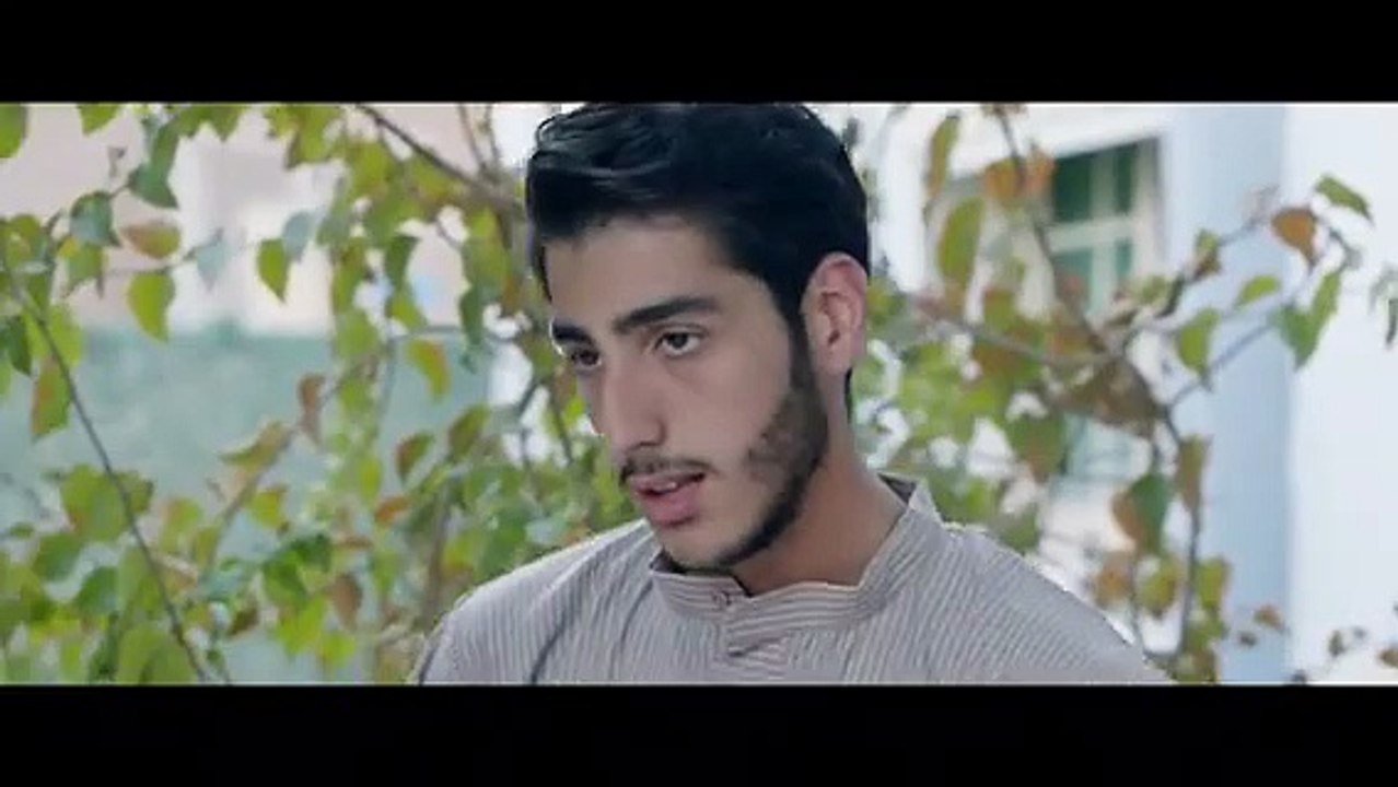 Mavsh_11