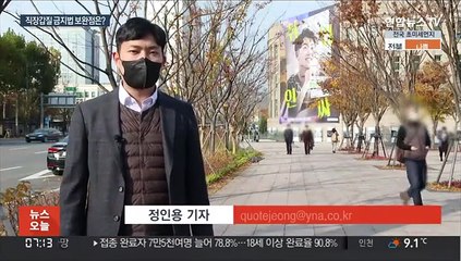 법의 사각지대 여전…"결국 직장문화가 바뀌어야"