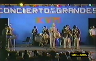SALSA GORDA TELEVISION