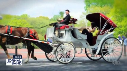 As carruagens, símbolo do Central Park, em Nova York, podem ser trocadas por carros elétricos.