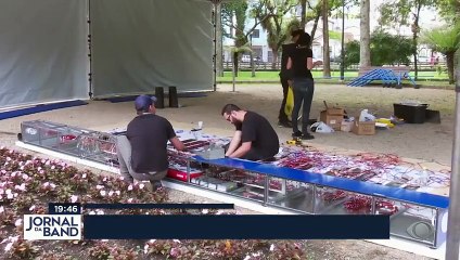 Você sabe qual é a capital mais natalina do Brasil?