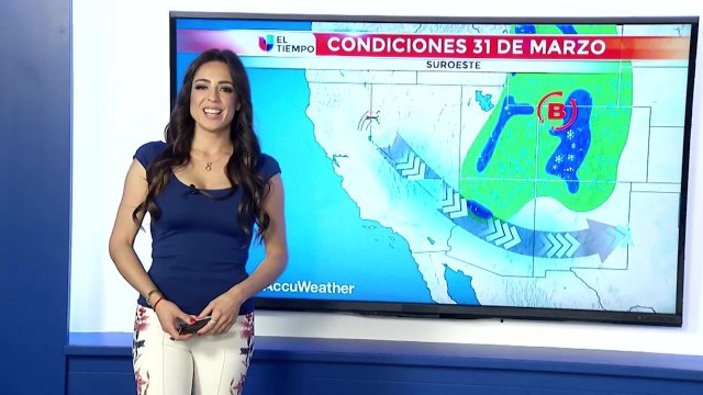 DIGI PALM 0330.mp4