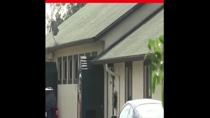 Adolescente es acusado de crueldad animal