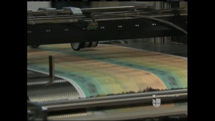 VIDEO: Riesgos de usar número de seguro social falso