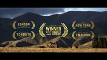 'El poder del perro': tráiler subtitulado en español de la película de Jane Campion