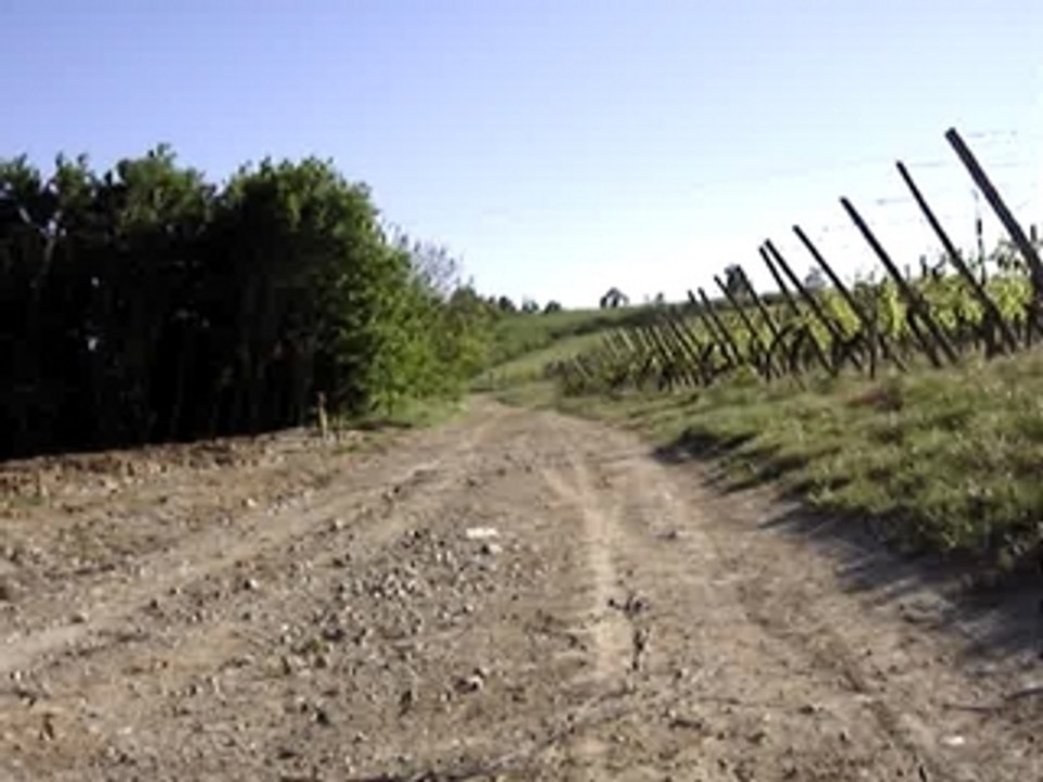 Petit tour en quad 2