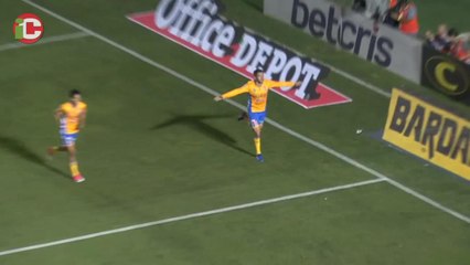 El campeón Tigres no está muerto