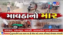Unseasonal rainfall caused damaged to crops in Valsad district | Tv9GujaratiNews