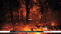 Continúa activo incendio forestal en el condado Pasco