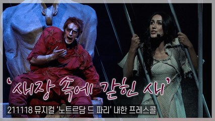 [TOP직캠] 내한 뮤지컬 ‘노트르담 드 파리’, ‘새장 속에 갇힌 새(Les oiseaux qu'on met en cage)’ 프레스콜 무대(211118)