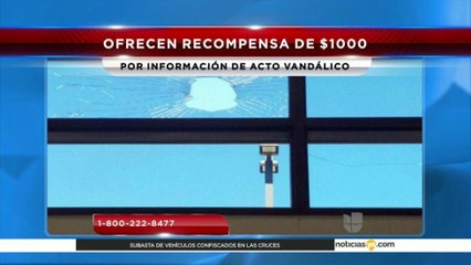 Se Buscan Responsables en Las Cruces