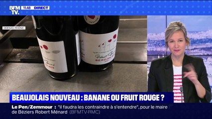 Quel goût a le Beaujolais nouveau cette année ? BFMTV répond à vos questions