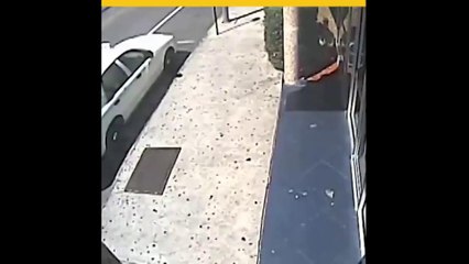 Buenos samaritanos intervienen para ayudar a policías a un arresto