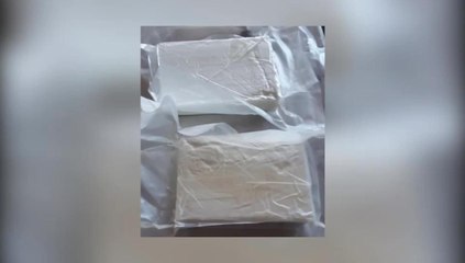 BP Agents Make Two Busts at Gateway Bridge