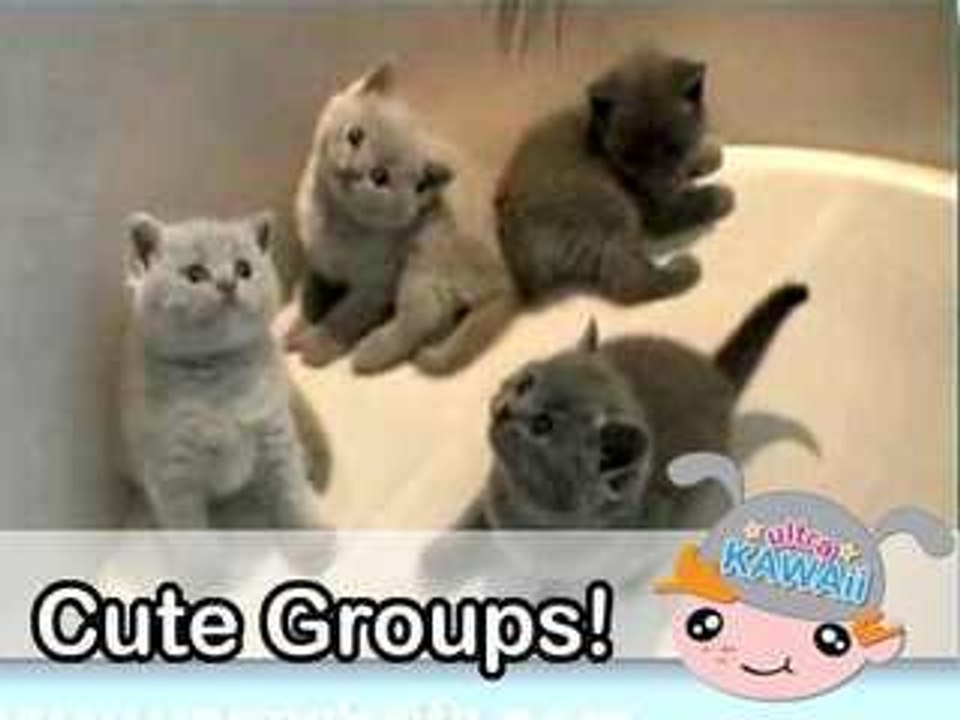 Ultra Kawaii - Cute Groups!