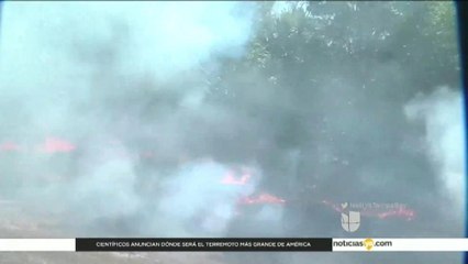 Cierran escuelas del condado Pasco por denso humo