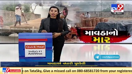Crops damaged due to unseasonal rainfall in Junagadh Tv9News