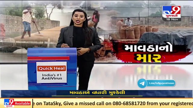 Crops damaged due to unseasonal rainfall in Junagadh Tv9News