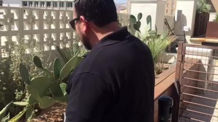 Serenata para las Madres aterriza martes en ciudad secreta