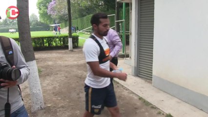 Los Pumas están frustrados
