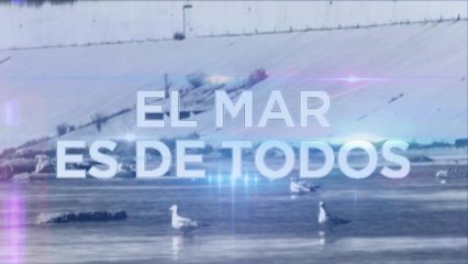 Reportaje especial: El mar es de todos