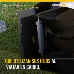 Mujer encuentra serpiente en asiento de seguridad de su hijo