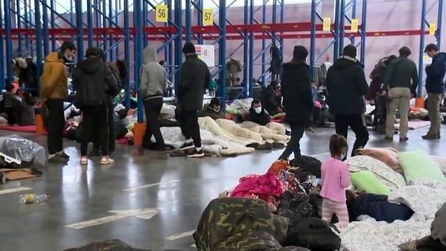 Migranti, pressione al confine tra Bielorussia e Polonia e negoziati con l'Ue