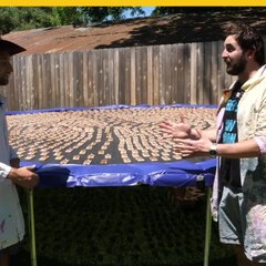 Joven se lanza en trampolín con mil trampas para ratón