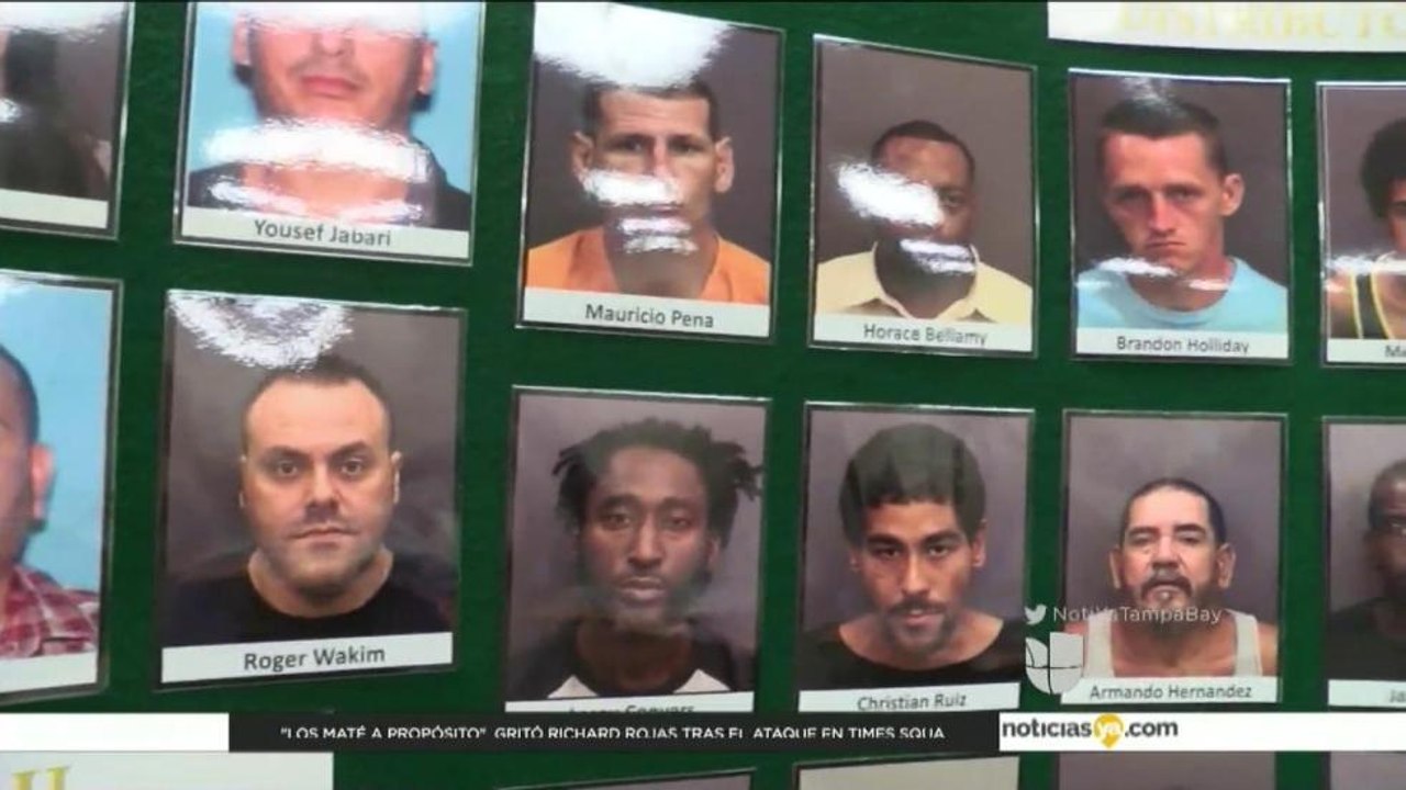Incautan $1.9 millones en dos operativos antidrogas en Tampa Bay
