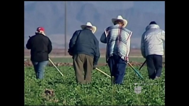 VIDEO: Agencias legales de Salinas reaccionan sobre plan de gastos de Trump