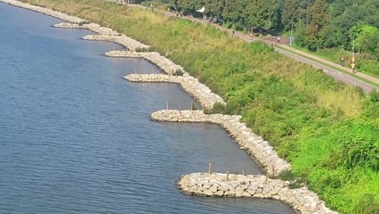 [서울] 뚝섬·망원한강공원 콘크리트 호안 철거...자갈 등으로 대체 / YTN