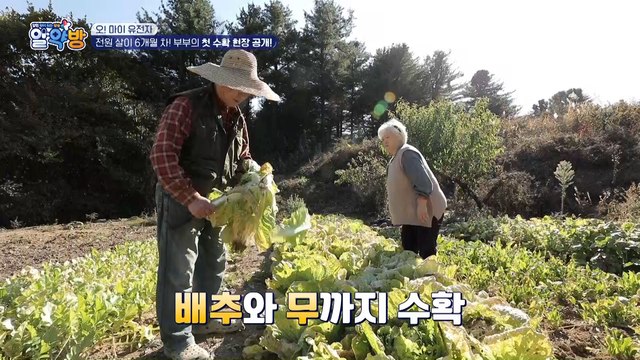 이종구♡유향곤 부부의 전원 살이 첫 수확! 들깨부터 배추, 무까지~♪