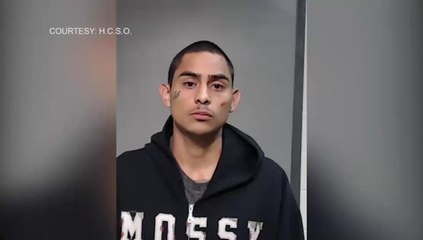 Brownsville Trial Begins for Gang-Related Murder