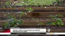 Promueven jardines comunitarios en Laredo