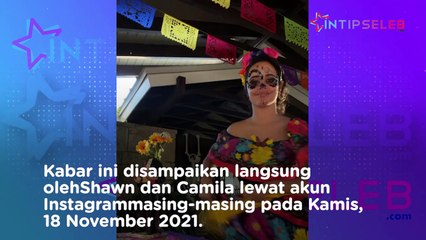 2 Tahun Pacaran, Shawn Mendes dan Camila Cabello Resmi Putus