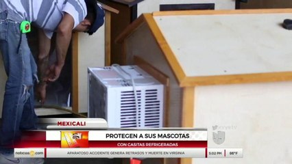 Hacen casas para mascotas con aire acondicionado