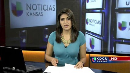 Persona muere a causa de accidente contra tren.