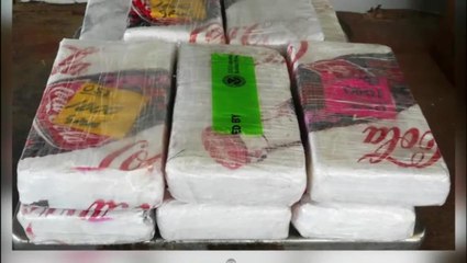Over $201,000 worth of Drugs Seized at International Bridge