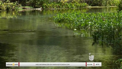 Comienza la pelea por la marihuana para fumar en Florida