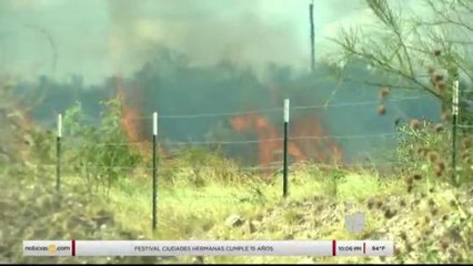 Reportan incendio de pastizales